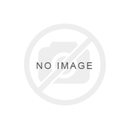 Picture for category Womens Adventure Touring